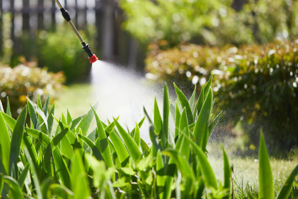 24/7 Emergency Wasp Removal experts in Sunnyside, CA