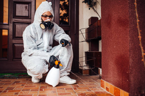 Reliable Wasp Removal contractor in Sunnyside, CA by Show Me Pest Control